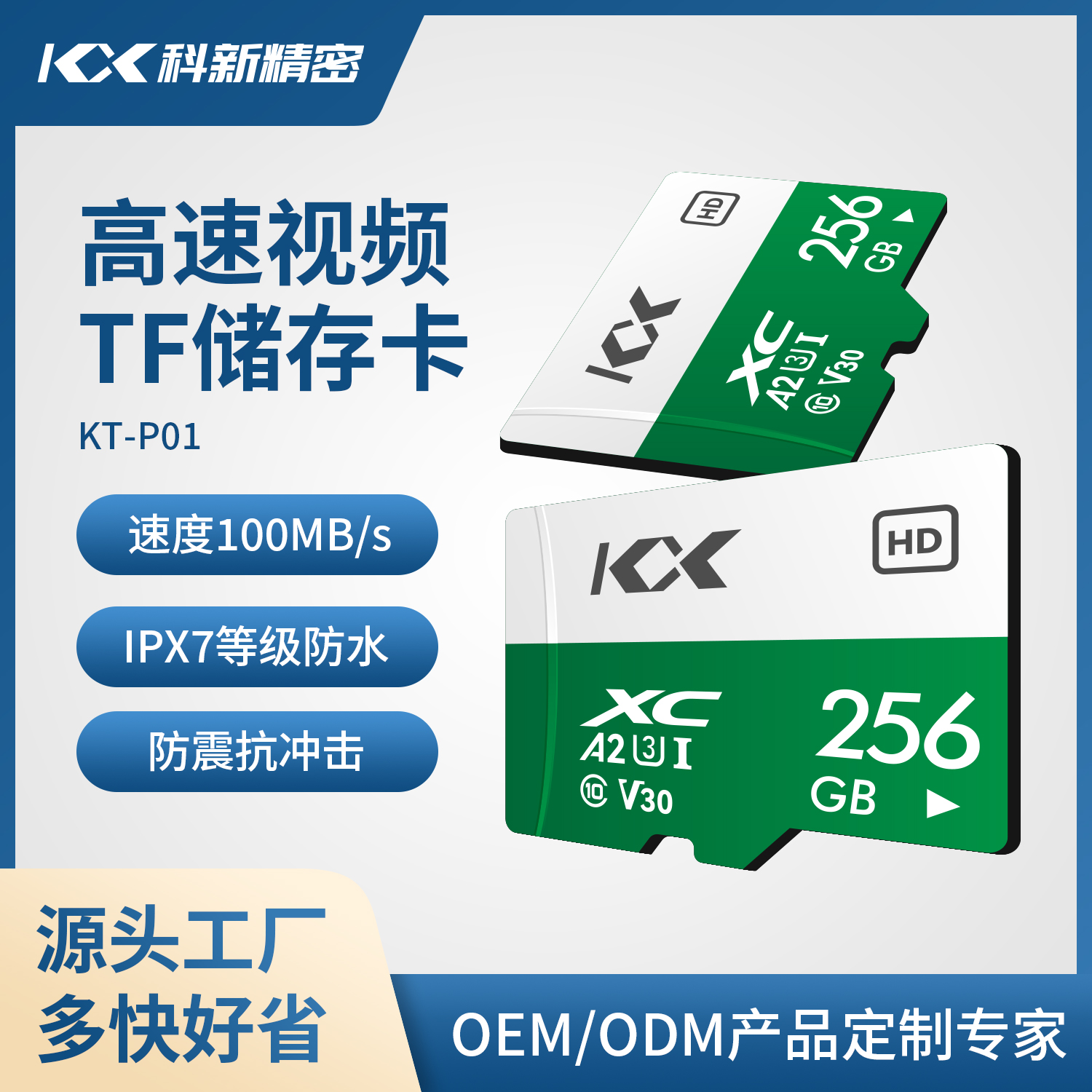KT-P01
